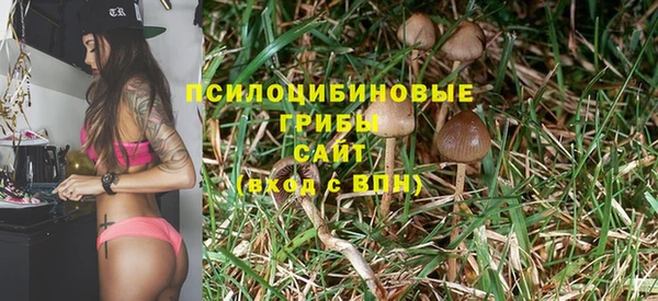 ГАЛЛЮЦИНОГЕННЫЕ ГРИБЫ Остров