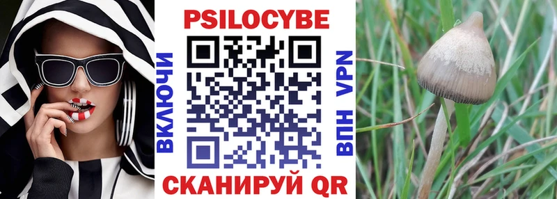 Псилоцибиновые грибы прущие грибы  маркетплейс клад  Тарко-Сале  закладки 